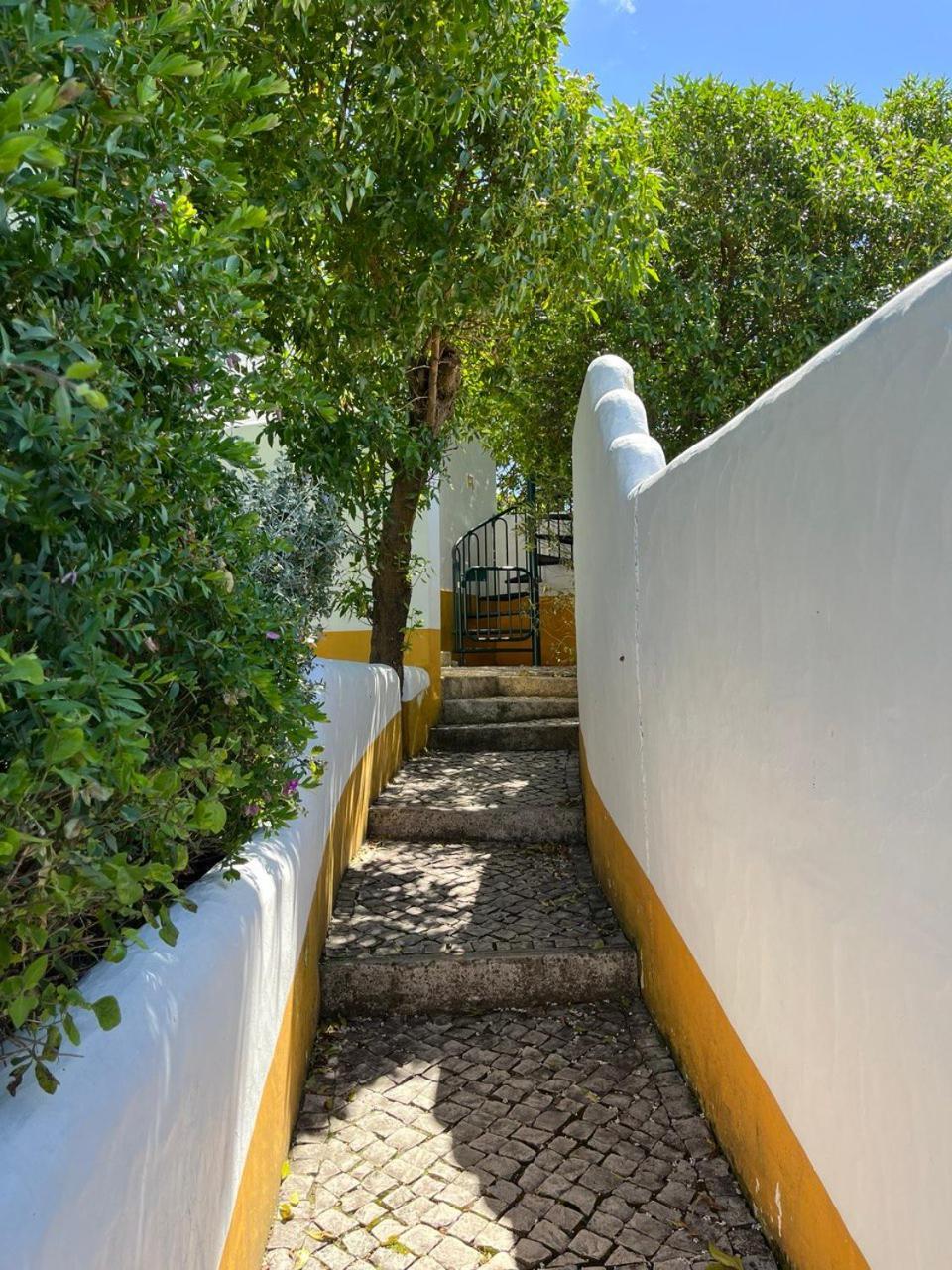 Quinta Laranja - Turismo Rural - Alvorninha Exterior photo