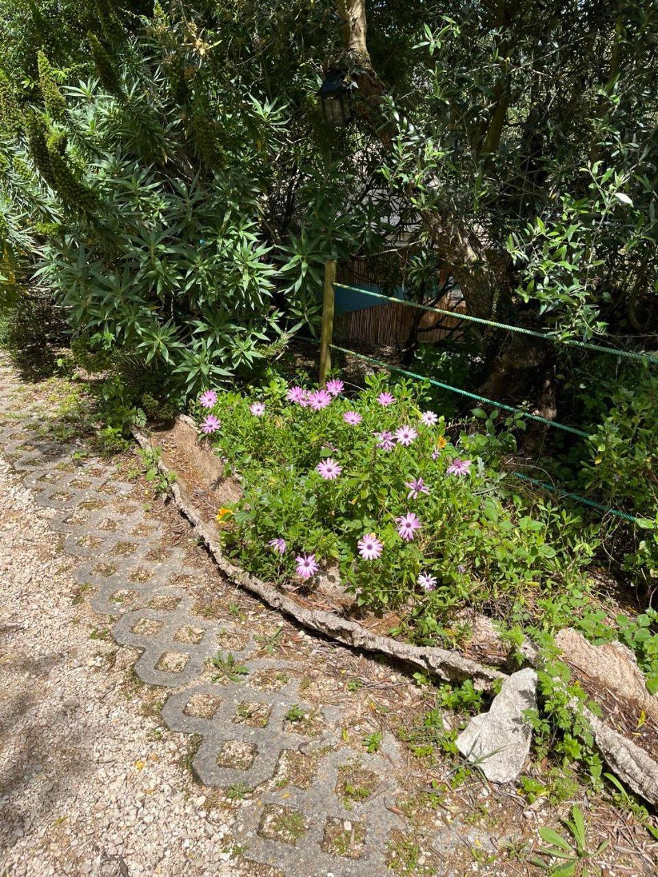 Quinta Laranja - Turismo Rural - Alvorninha Exterior photo