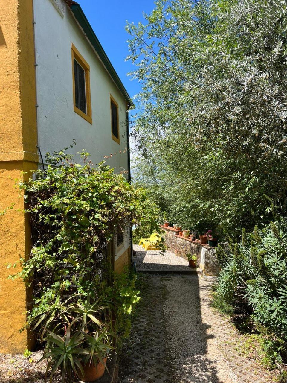 Quinta Laranja - Turismo Rural - Alvorninha Exterior photo